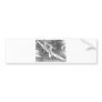 Avro Lancastrian Bumper Sticker