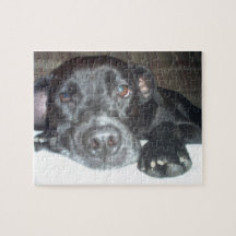 AW- Adorable Pitbull Puppy Puzzle