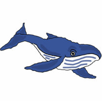 AW- Blue Whale Photo Sculpture