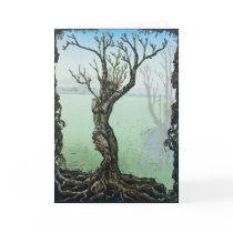 Awakening Spring Fairy Dryad Fantasy Greeting Card