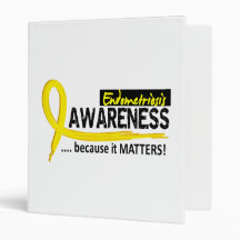 Awareness 2 Endometriosis 3 Ring Binder