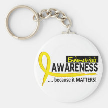 Awareness 2 Endometriosis Key Chains