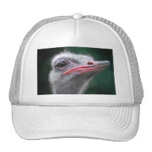 Awe-strich Hat