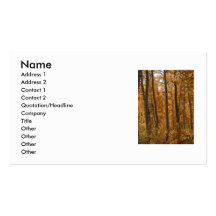 Awesome Amber Business Card