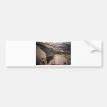 Awesome Cleft Bumper Stickers