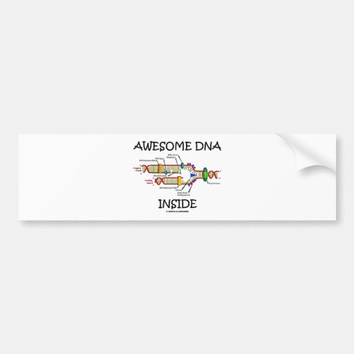 Awesome DNA Inside Bumper Stickers
