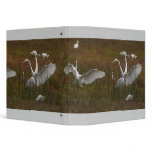 Awesome Egrets Avery Binder