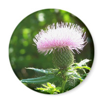 awesome flower magnet