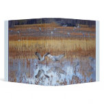 Awesome Light & Sandhill Cranes Avery Binder