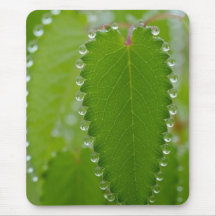 Awesome Morning Dew Mousepad