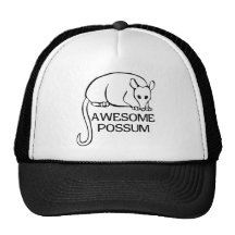 Awesome Possum Hat