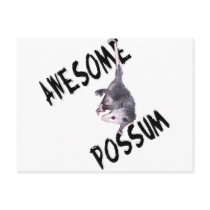 Awesome Possum Opossum Postcard