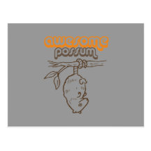 Awesome Possum Post Cards