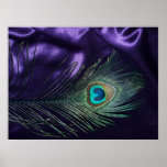 Awesome Purple Peacock Feather Print