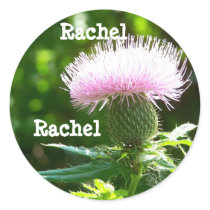 awesome, Rachel Sticker