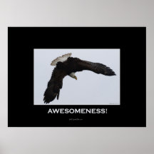 Awesomeness Motivational Poster on Awesomeness Motivational Eagle Poster