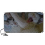 Awww Kitty Laptop Speaker