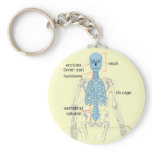 Axial skeleton diagram for medical students keychain