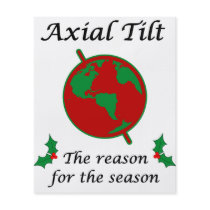 Axial Tilt Reason for the Season Flyer Design