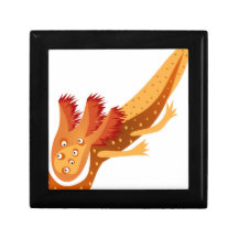 Axolotl Monster Orange Schmuckschachtel