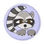 AY- Awesome Raccoon Cartoon Magnet