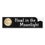 AY- Howl in the Moonlight Bumper Sticker