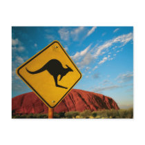 ayers rock kangaroo sign post card