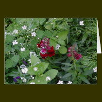 Ayez un beau jour ! cartes
