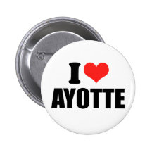 AYOTTE 2010 BUTTON