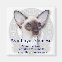 Ayuthaya Square Fridge Magnets
