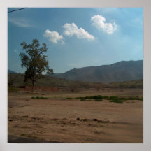 AZ Landscape 5 Posters