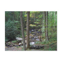 AZ- Nature and stream postcard