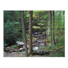 AZ- Nature and stream postcard