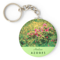 Azalea blooming