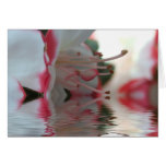 Azalea Blooms in Water Greeting Card
