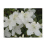 Azalea Blooms On Postcard