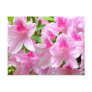 Azalea Blooms Postcard
