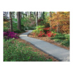 Azalea Garden Photo