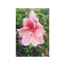 Azalea in Pink Gallery Wrapped Canvas