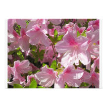 Azalea party invitations