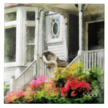 Azaleas by Porch With Wicker Chair Ceramic Tiles