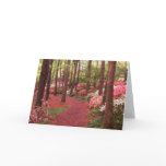 azaleas cards