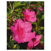 Azaleas Flyer Design