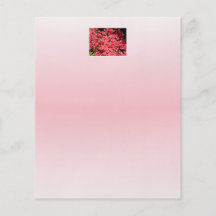 Azaleas. Pretty Pink Flowers. Flyers
