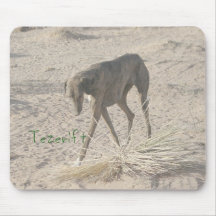 Azawakh Mousepad