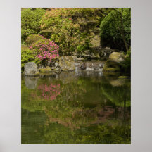 Azelea reflections print