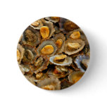 Azores limpets "lapas" pinback button