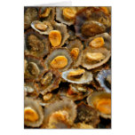 Azores limpets "lapas" greeting card
