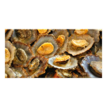 Azores limpets "lapas" personalized photo card