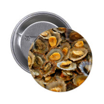 Azores limpets "lapas" pinback button